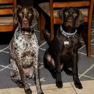 Meet your Posher, Stanley